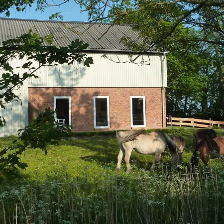 Landtraum Klanxbull